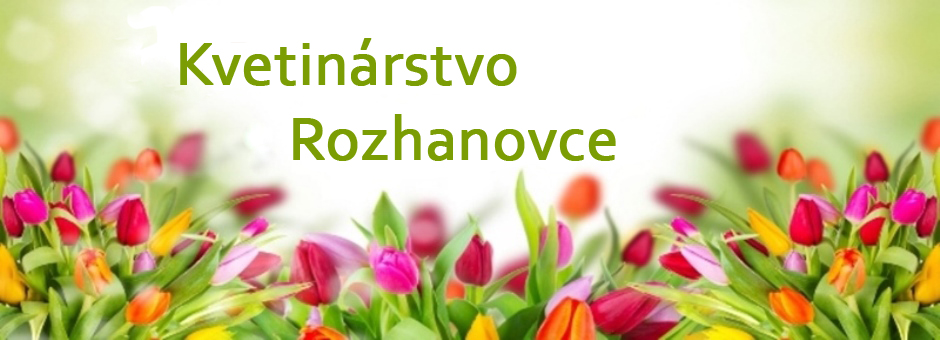 slideshow 01